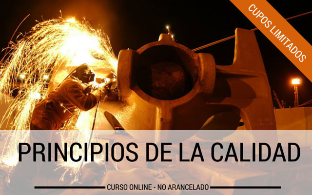 Principios de la Calidad - Curso Online