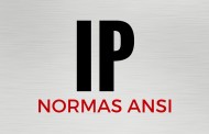 ¿Qué son las Normas IP?