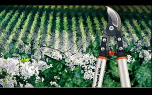 Set de Jardinería y Paisajismo | De Máquinas y Herramientas
