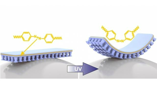 ¿Es posible la creación de un material adhesivo controlado a distancia por luz?