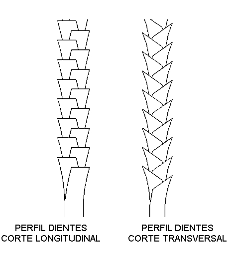 Dientes de un serrucho