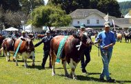 SagoFisur 2017 – Chile - Sector forestal, agropecuario y ganadero