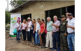 ¿Cómo es el proyecto 