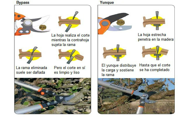 Tipos de tijeras de podar