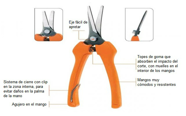 Tijeras de jardinería: tipos y usos