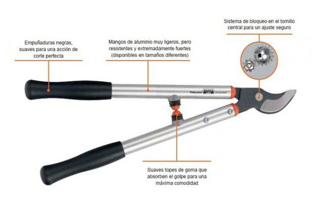 Tijera de poda dos manos