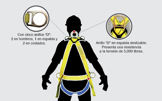 Arnés de seguridad - Argollas D