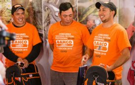 Poda, vid & herramientas: los ganadores del concurso profesional de BAHCO