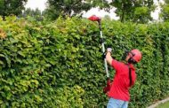 3 herramientas recomendadas para el mantenimiento del jardín