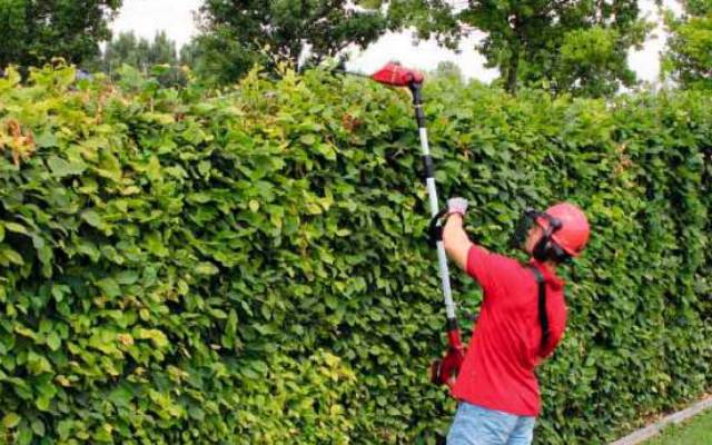 Mezclado bienestar cráneo 3 herramientas para el jardín | De Máquinas y Herramientas